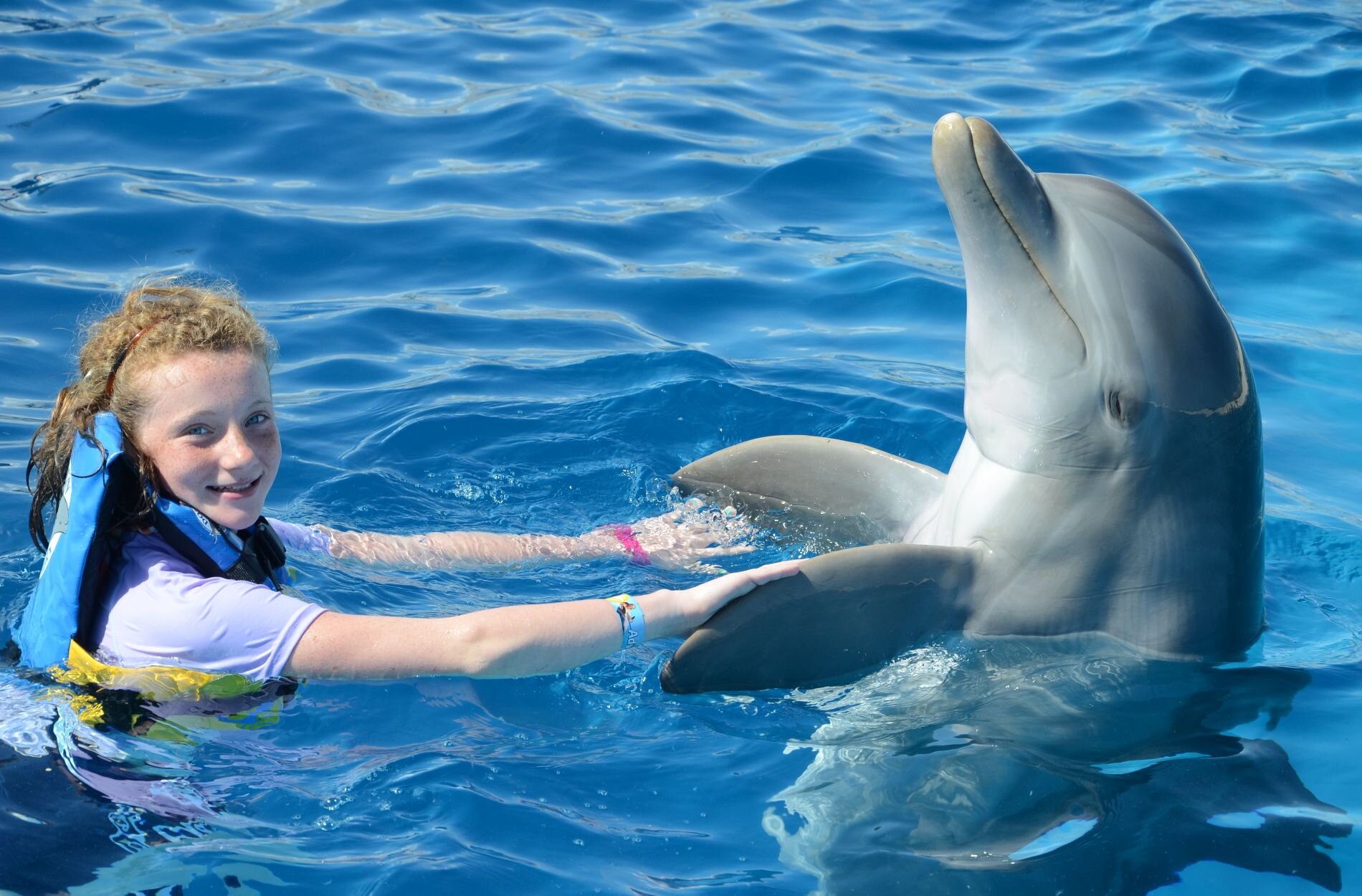 Dolphin Interaction